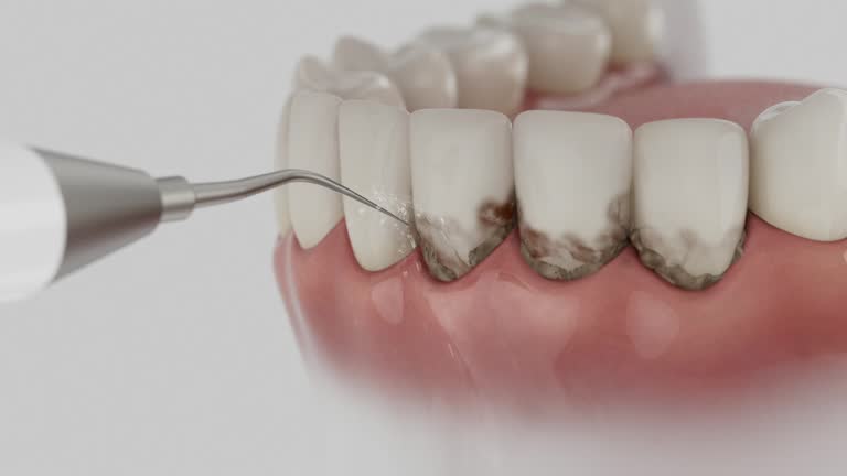 Reliable Dental contractor in Estill County County, KY by Dentist Open Now
